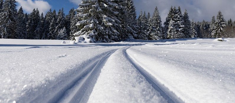 Skidspår för längdskidor